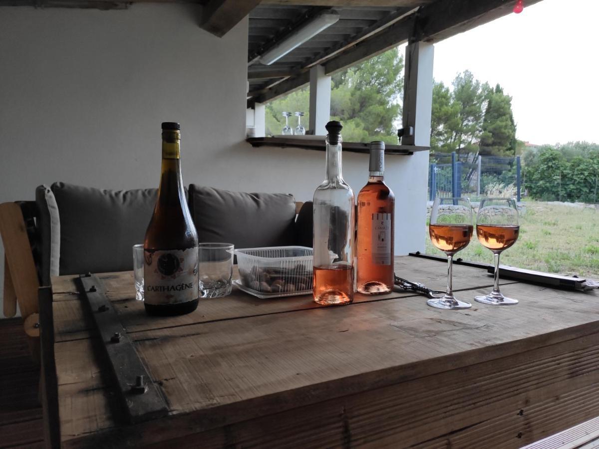 Maison d'hôtes Domaine d'Azéou à Laure-Minervois Extérieur photo
