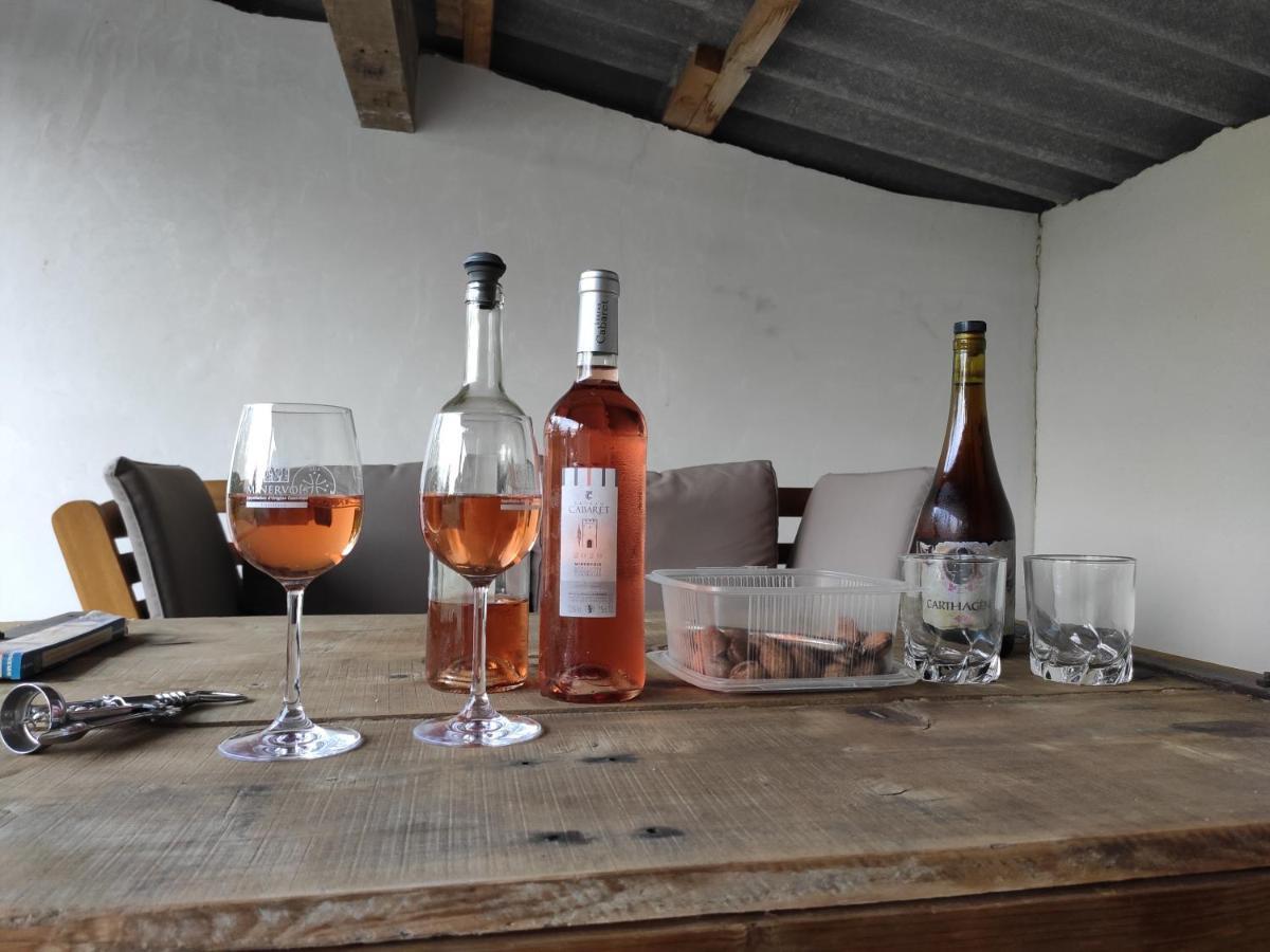 Maison d'hôtes Domaine d'Azéou à Laure-Minervois Extérieur photo