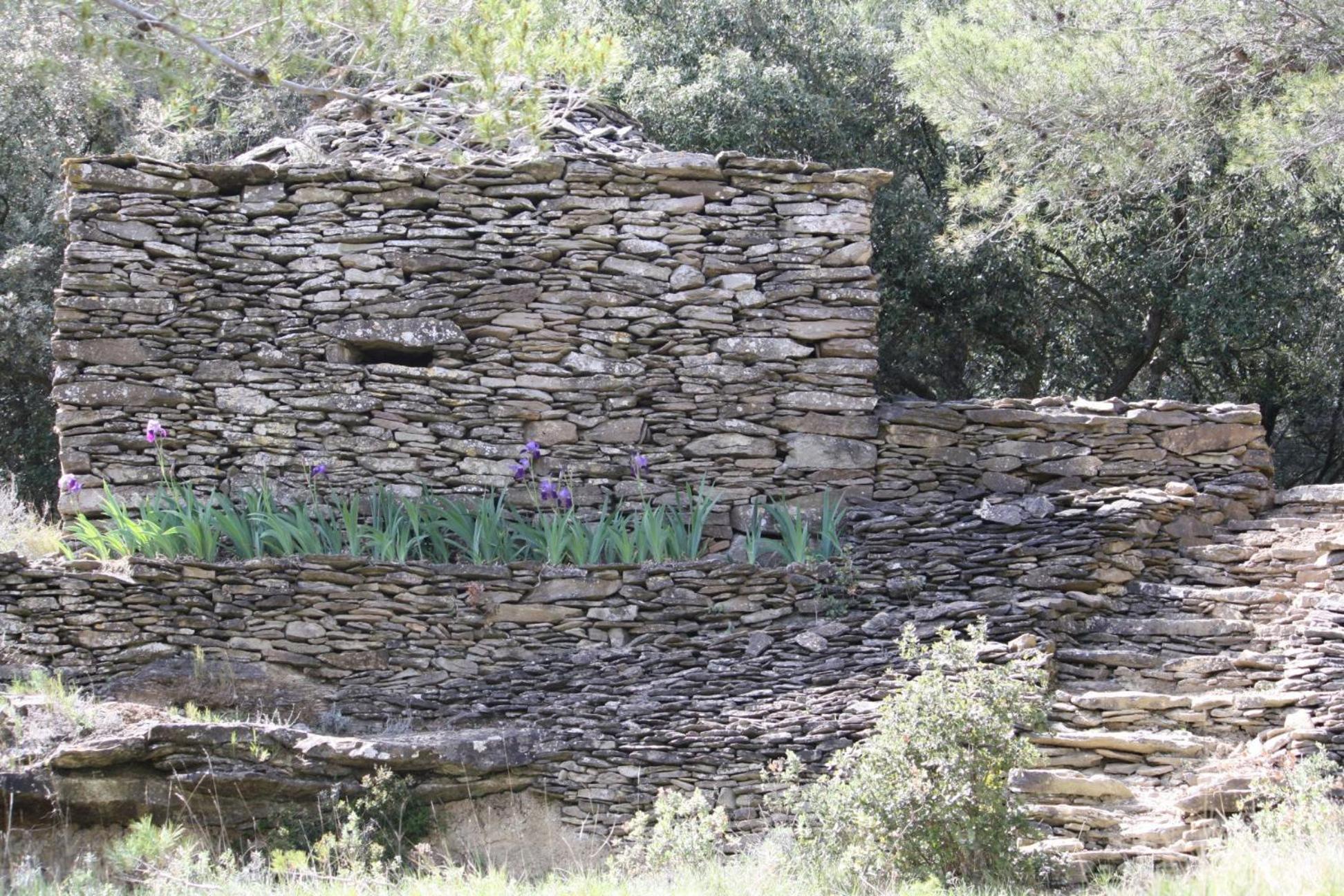 Maison d'hôtes Domaine d'Azéou à Laure-Minervois Extérieur photo